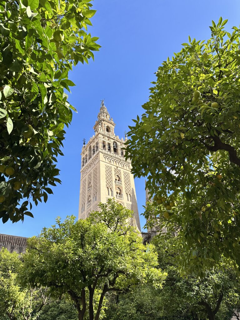 Seville cathedral giralda tower