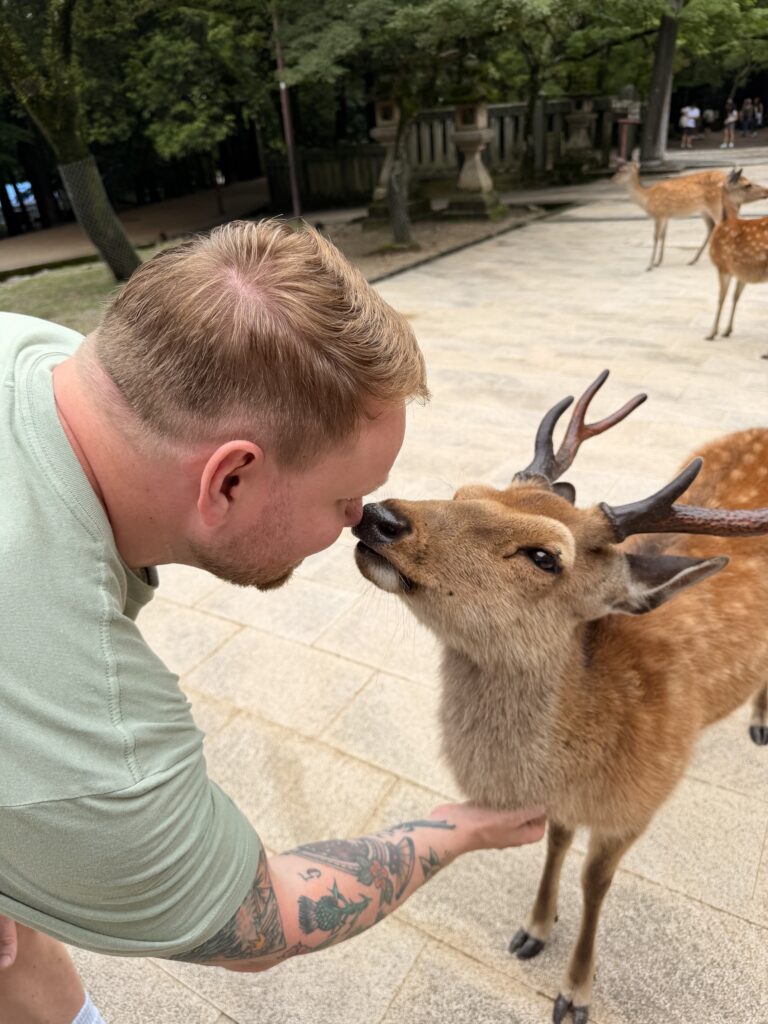 Nara Deer Kiss