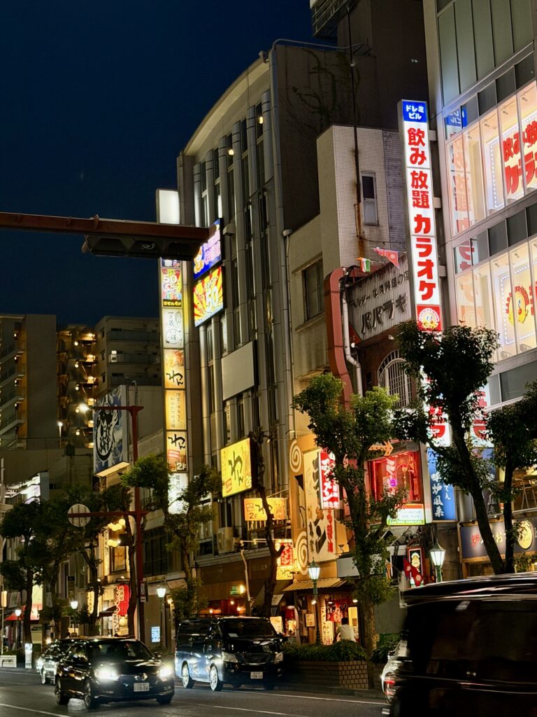 Himeji at Night