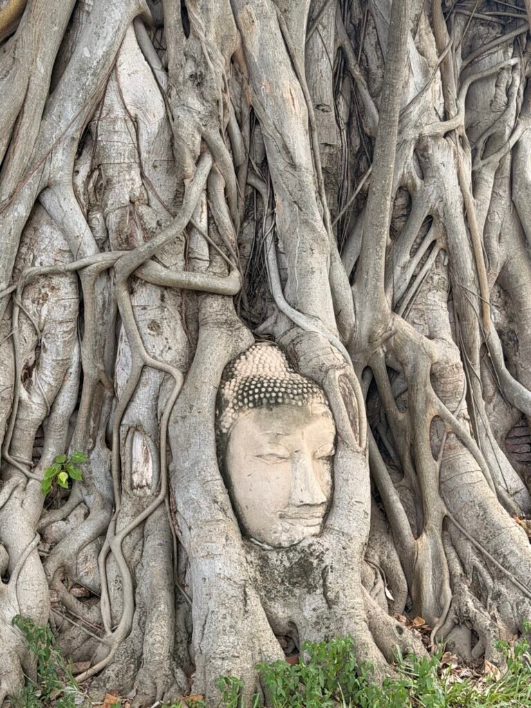 buddha head