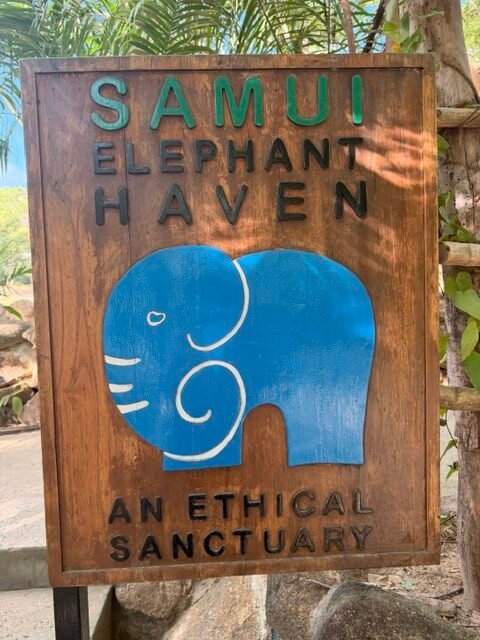Samui Elephant Sanctury