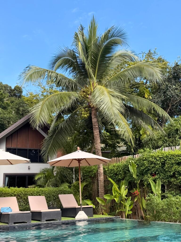 Chao Koh Phi Phi swimming pool